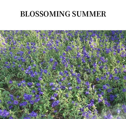 WARM KISS Fruity Perfume – Damen Parfum mit fruchtiger Note (50 ml)